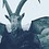 Baphomet